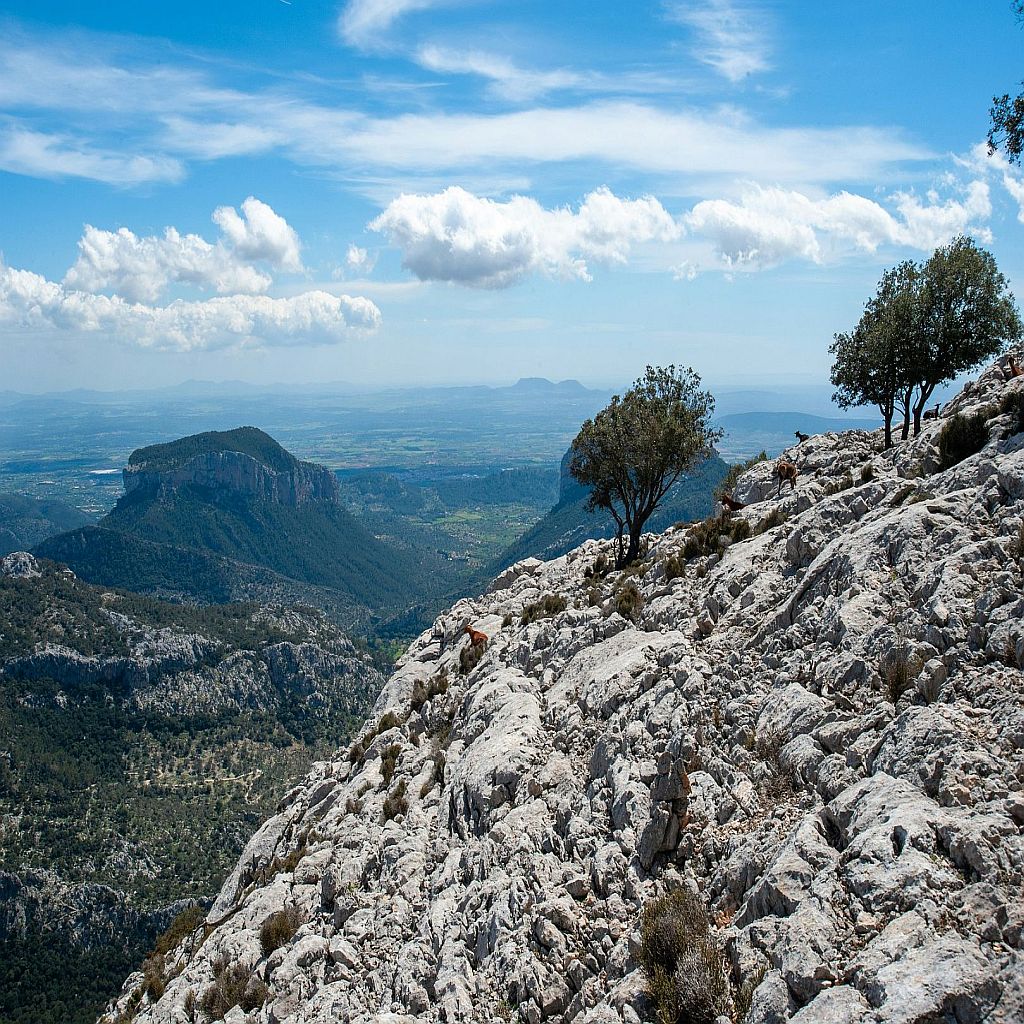 Wandern auf Mallorca