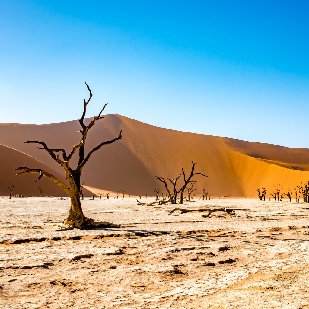 Namibia